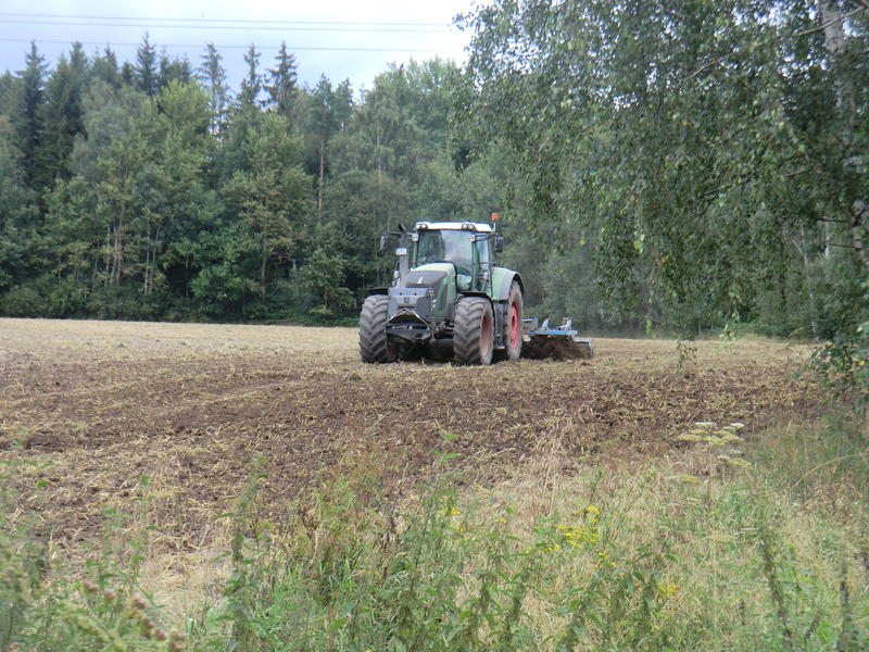 bilder/2024_08_09/DSC09050.jpg
