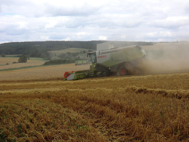 bilder/1_9_2003/jaguar_fendt_9.jpg