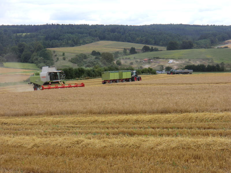bilder/11_8_2012_2/CIMG0105.jpg