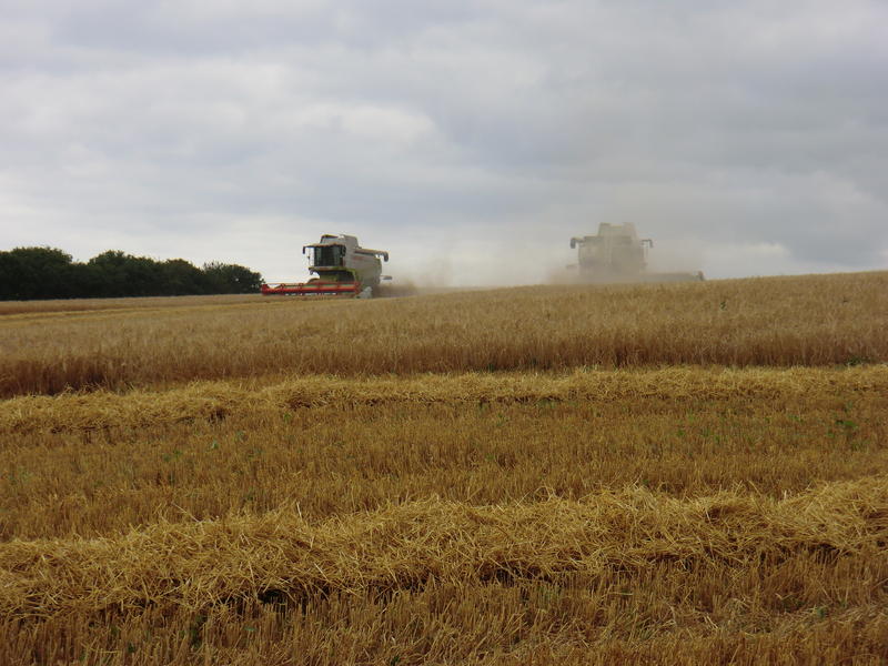bilder/31_7_2003_3/lexion_18.jpg