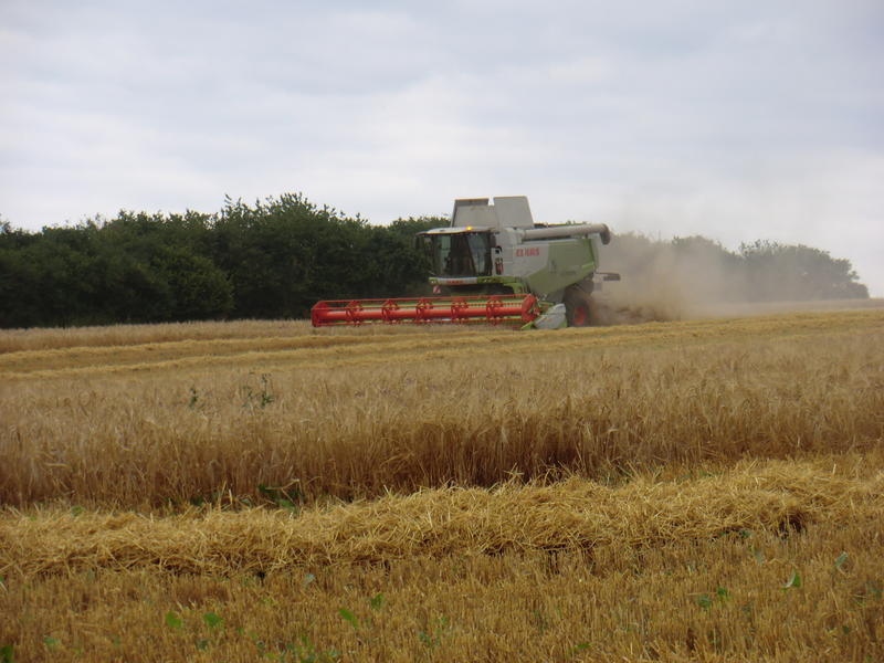 bilder/11_8_2012_2/CIMG0109.jpg
