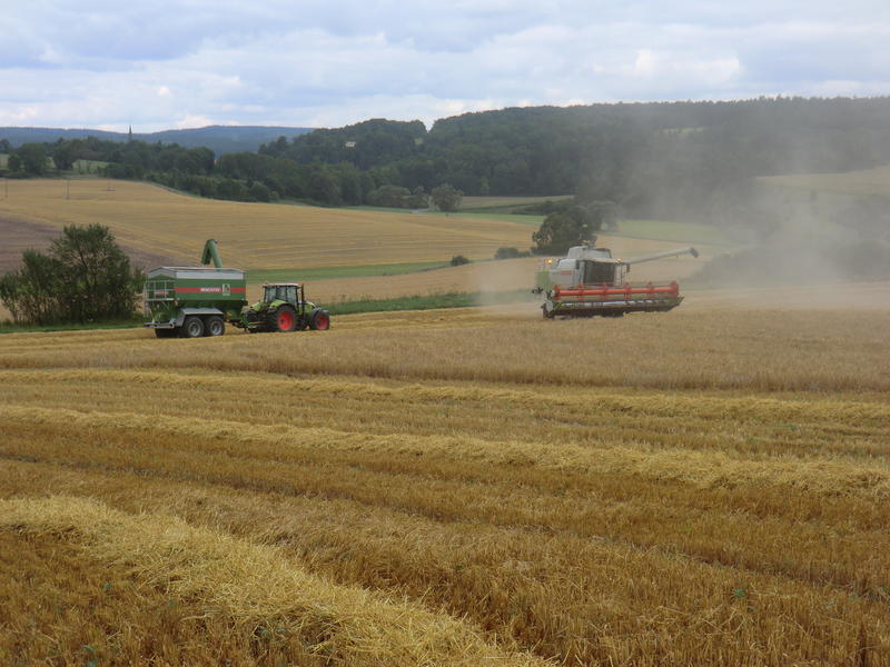 bilder/28_8_2005/2x_fendt_3.jpg