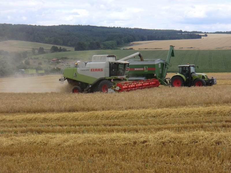 bilder/11_8_2012_2/CIMG0111.jpg