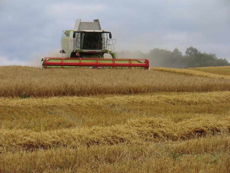 bilder/19_7_2005/fendt_930_3.jpg