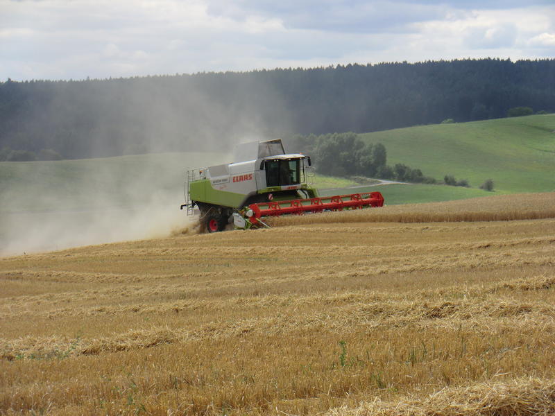 bilder/11_8_2012_3/CIMG0069.jpg