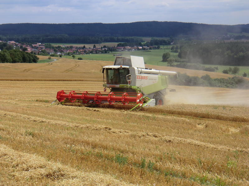 bilder/4_6_2014_4/CIMG2993.jpg