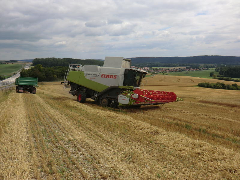 bilder/11_8_2012_3/CIMG0080.jpg