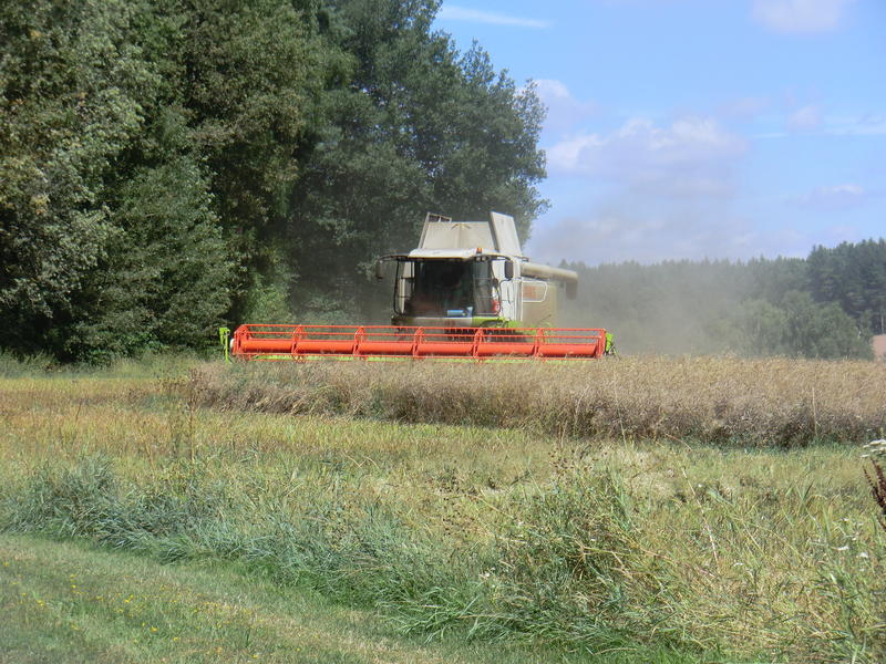 bilder/16_7_2014/CIMG7270.jpg