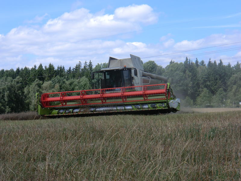 CIMG8942.jpg