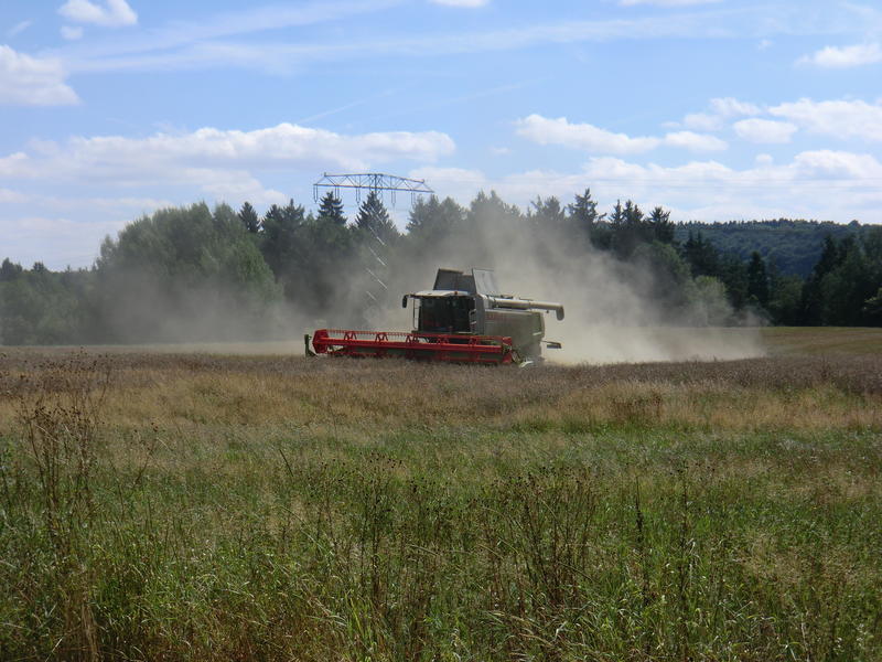 CIMG8945.jpg