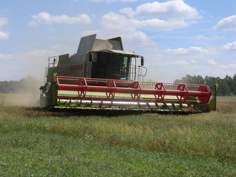 CIMG8948.jpg
