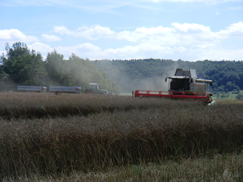 CIMG8953.jpg