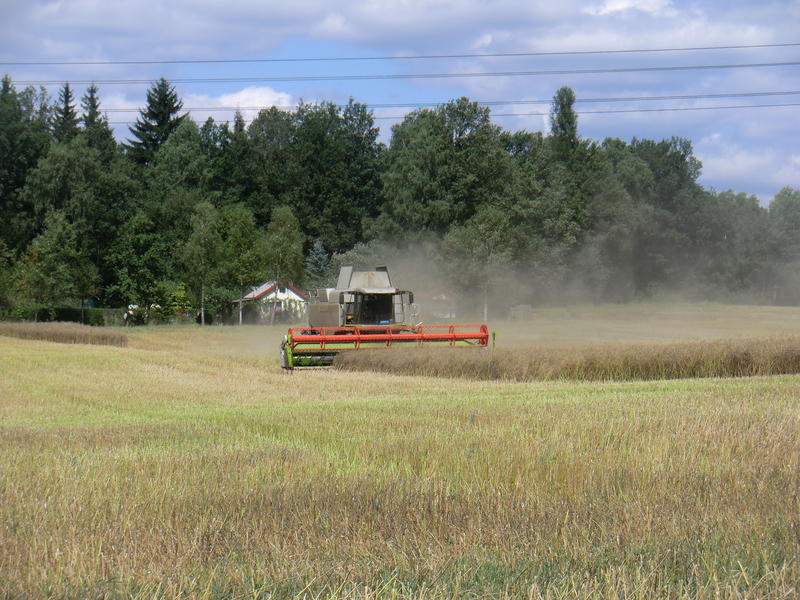 bilder/8_10_2013/CIMG0228.jpg