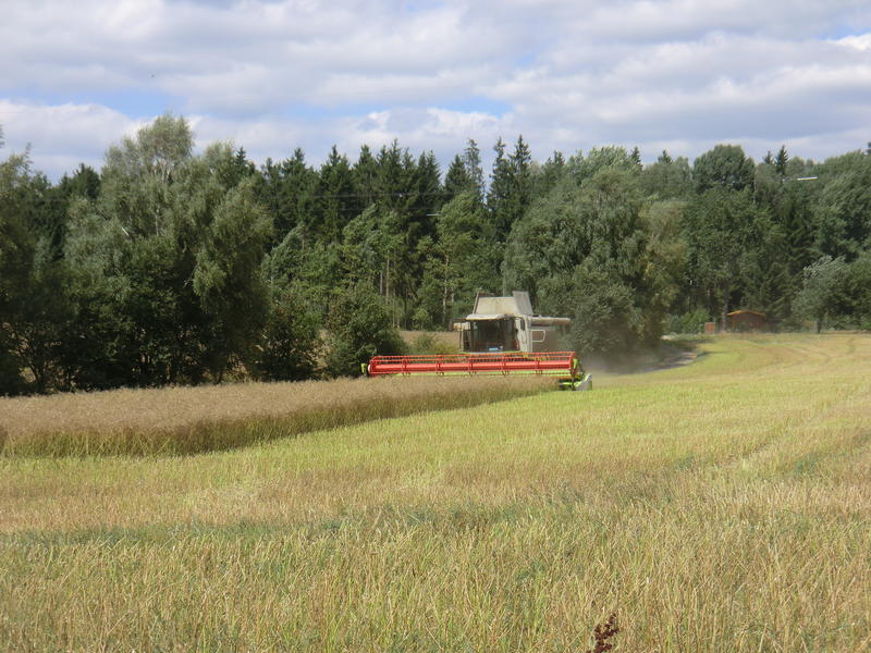 bilder/2024_08_06/DSC08950.jpg