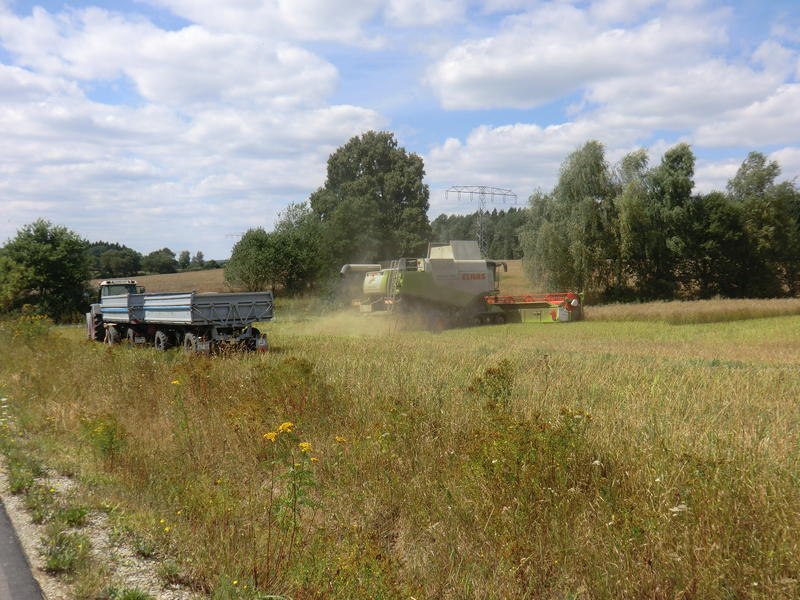 CIMG8975.jpg
