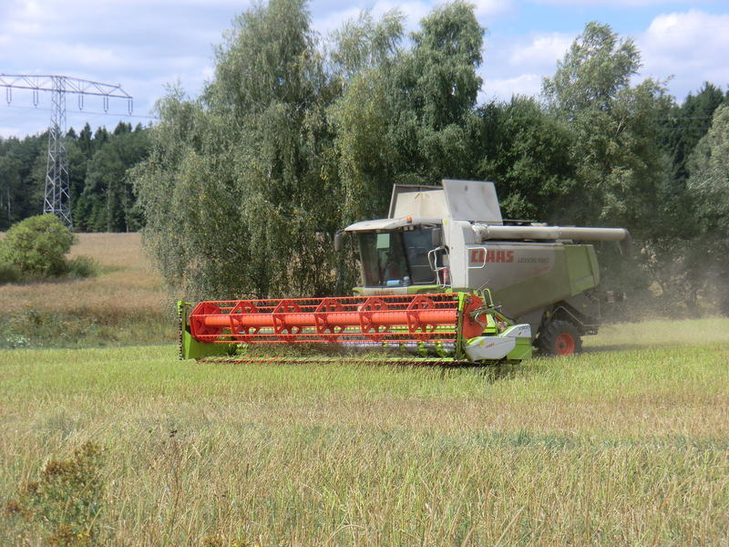 bilder/11_8_2013_2/CIMG8978.jpg