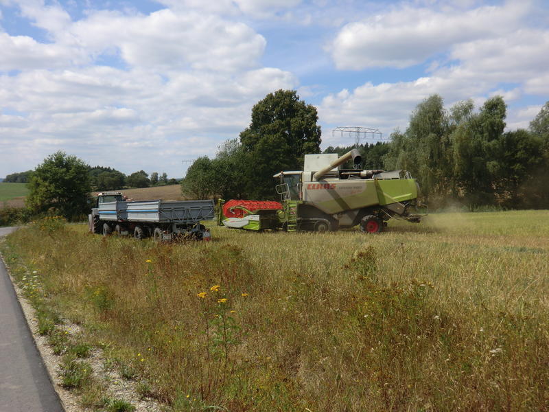 CIMG8979.jpg