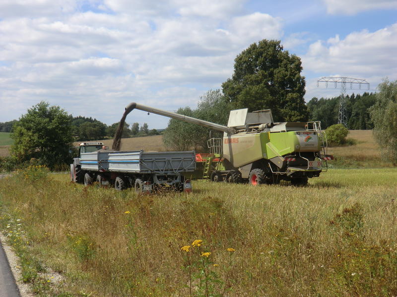 CIMG8980.jpg