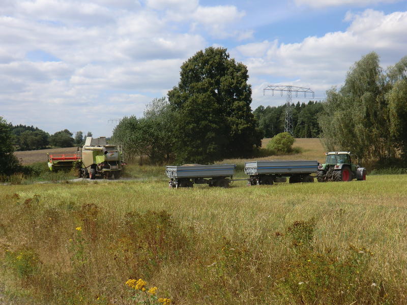 bilder/11_8_2013_2/CIMG8985.jpg