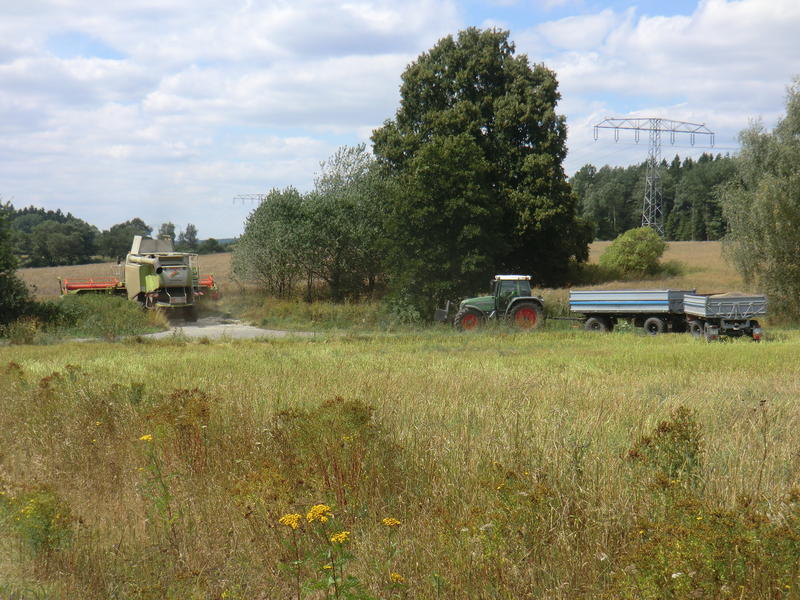CIMG8986.jpg