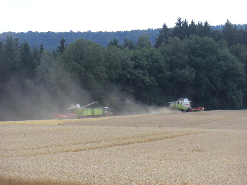 bilder/11_8_2013_3/CIMG8995.jpg