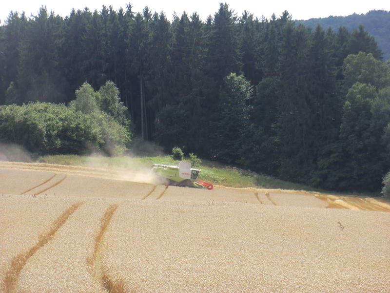bilder/11_8_2013_3/CIMG8997.jpg