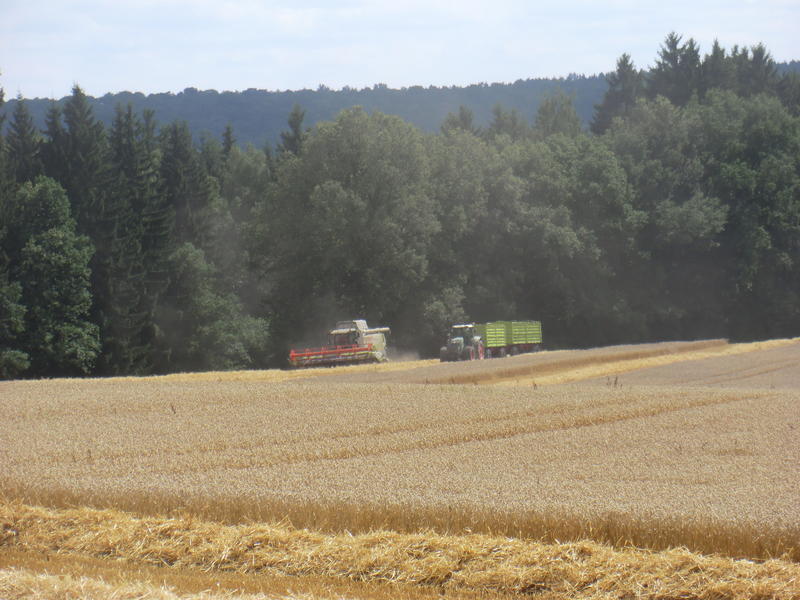 bilder/2024_03_22/DSC07323.jpg