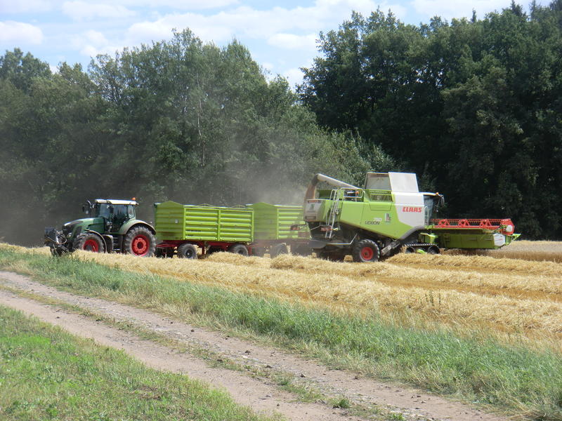 bilder/11_8_2013_3/CIMG9017.jpg