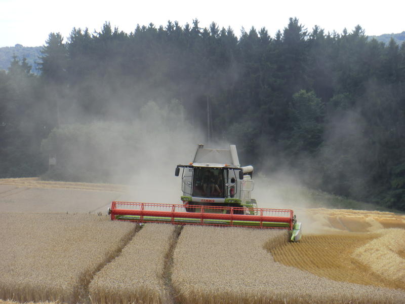 bilder/11_8_2013_3/CIMG9024.jpg