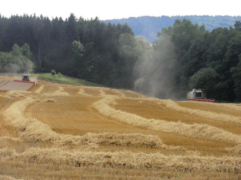 bilder/11_8_2013_3/CIMG9031.jpg