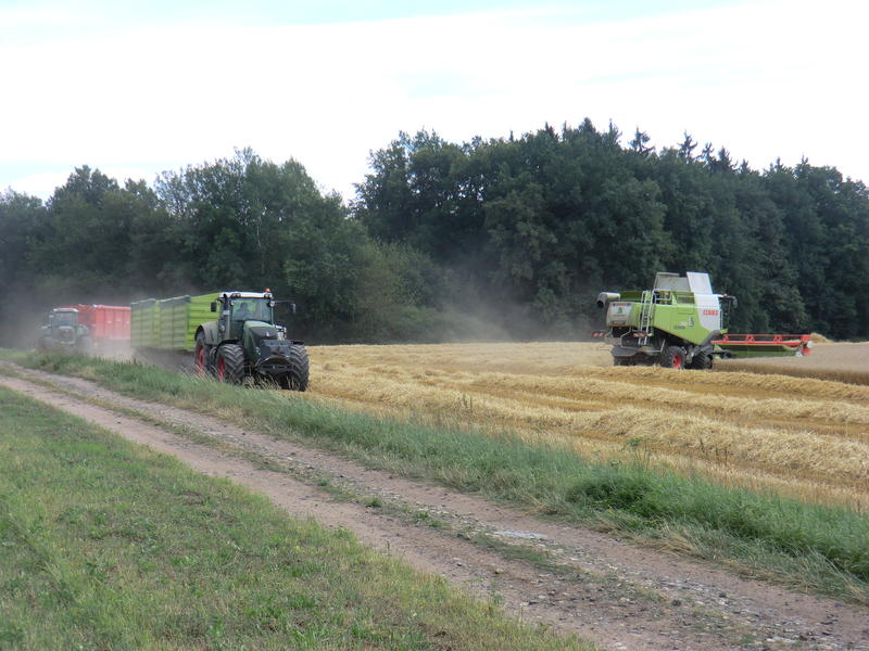 bilder/11_8_2013_3/CIMG9039.jpg