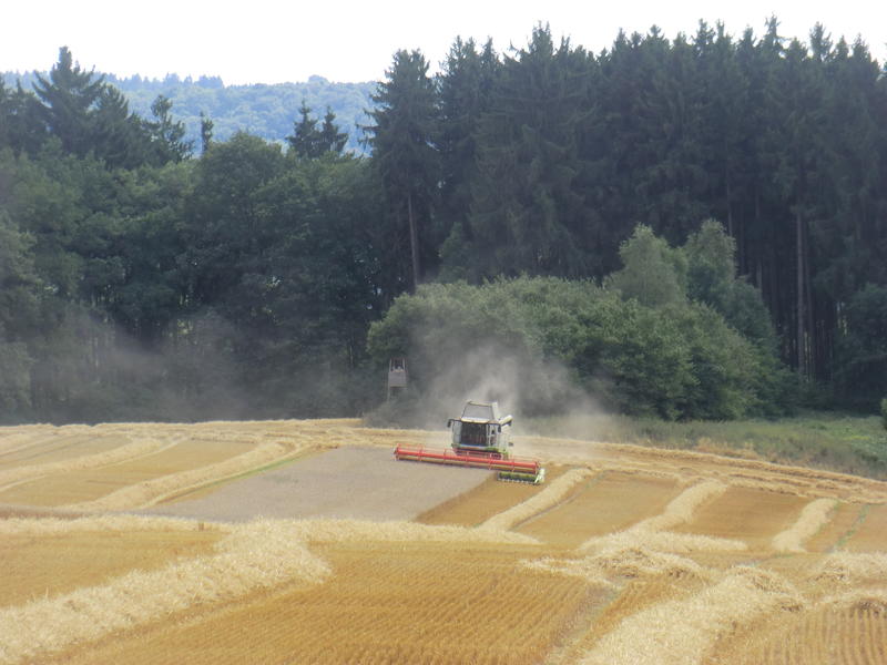 bilder/11_8_2013_3/CIMG9049.jpg