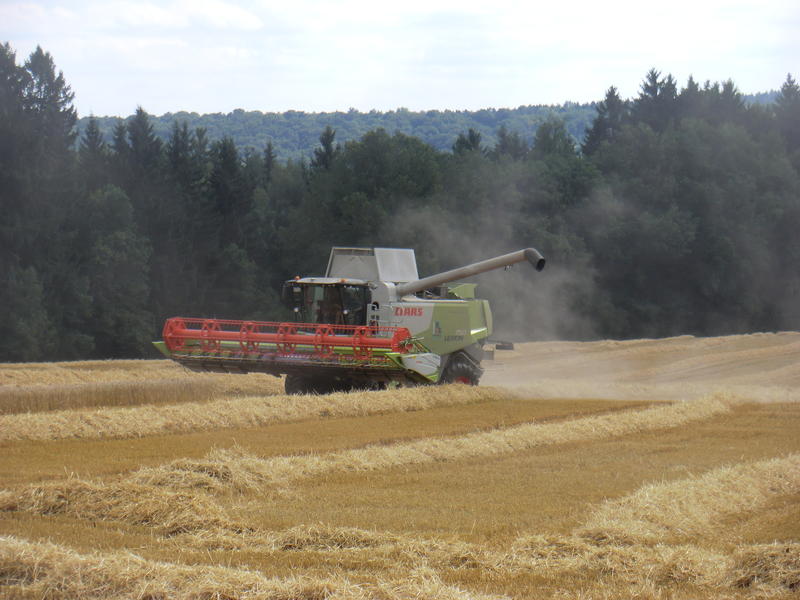 bilder/11_8_2013_3/CIMG9057.jpg