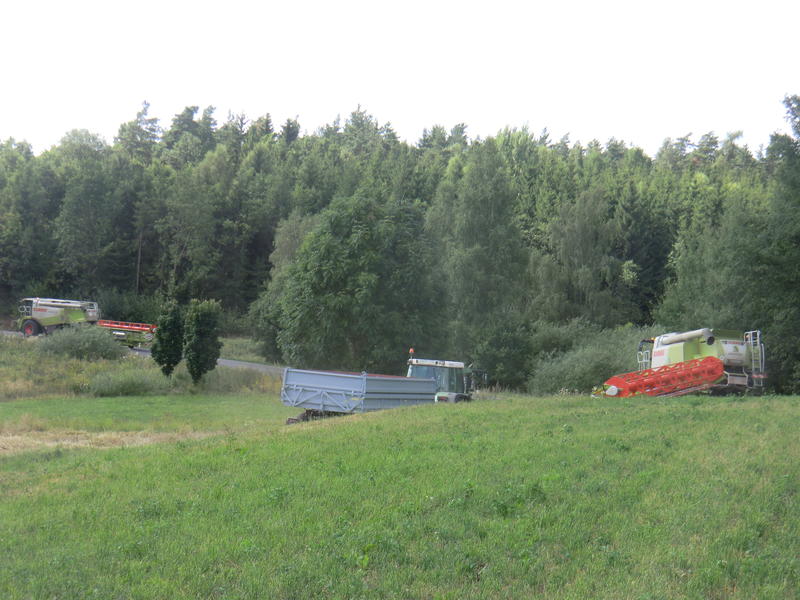 CIMG9073.jpg
