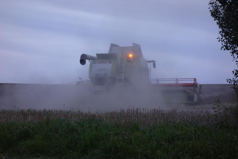 bilder/29_8_2005/lexion_16.jpg