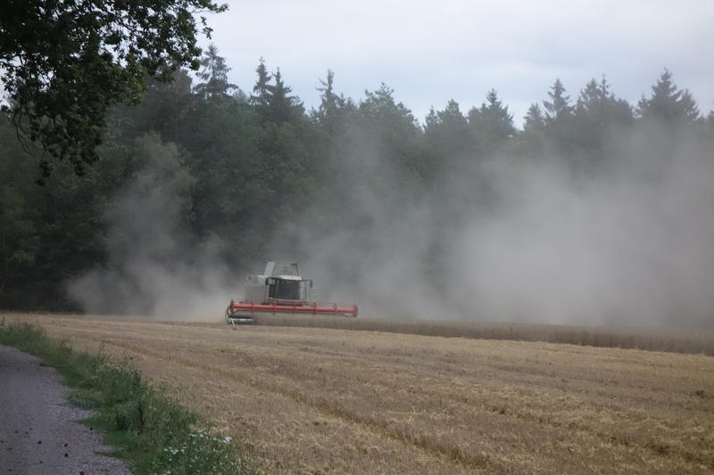 bilder/31_8_2002/ranger_+_fendt_824_4.jpg