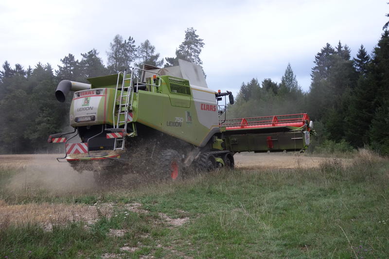 bilder/28_8_2002/xerion_10.jpg