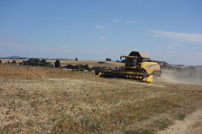 bilder/14_9_2002/fendt_716_+_fendt_514_+_zt_303_3.jpg