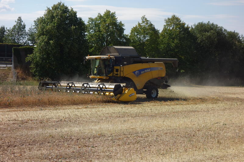bilder/20_4_2013/CIMG7209.jpg