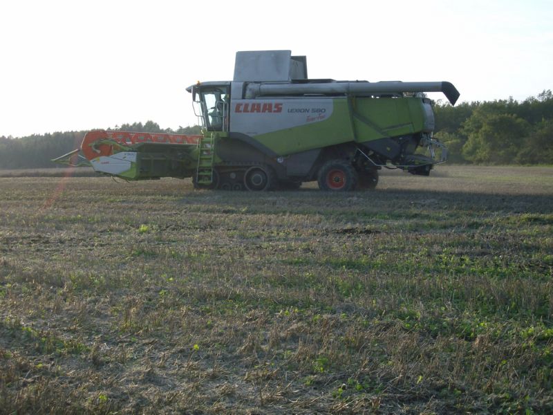 bilder/2_7_2013_2/CIMG8120.jpg