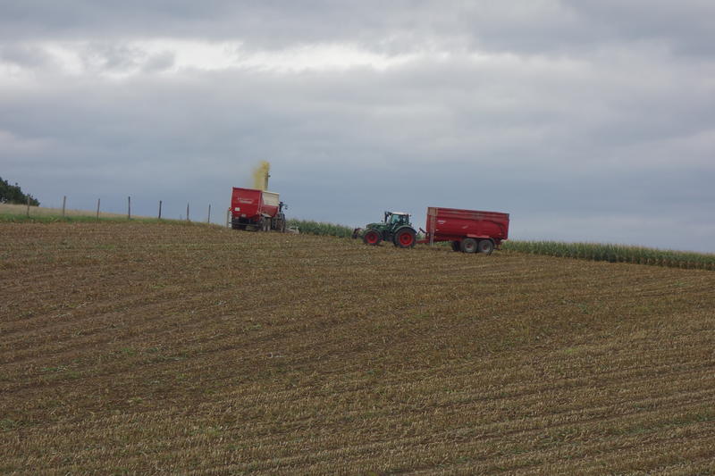 DSC00187.jpg