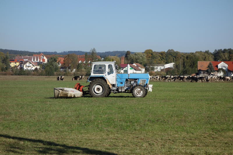 bilder/12_10_2015_2/DSC02803.jpg