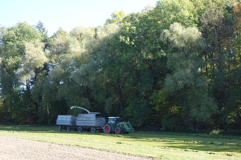 DSC02829.jpg