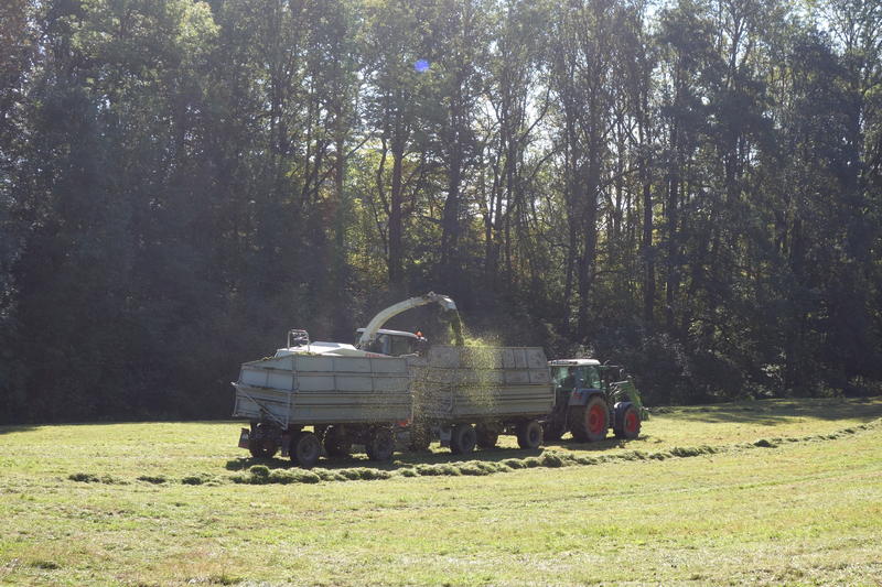 bilder/12_10_2015_3/DSC02842.jpg