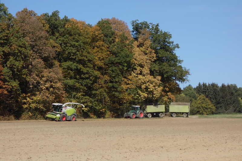 DSC02855.jpg