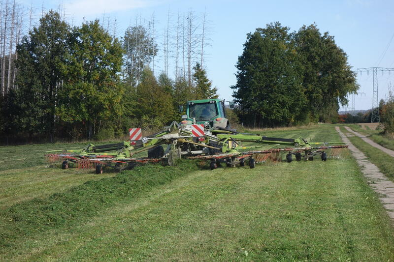 bilder/2024_07_20/DSC08393.jpg