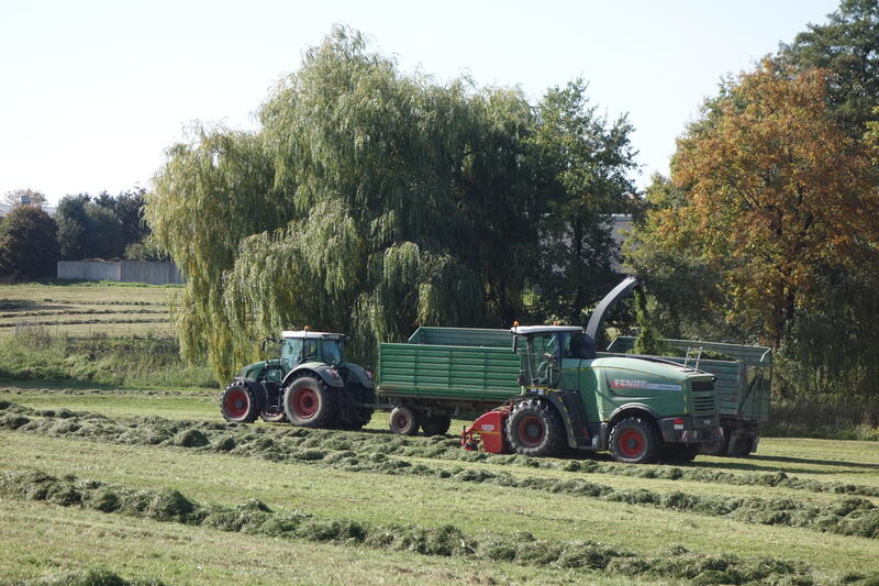 bilder/4_6_2014_4/CIMG2995.jpg