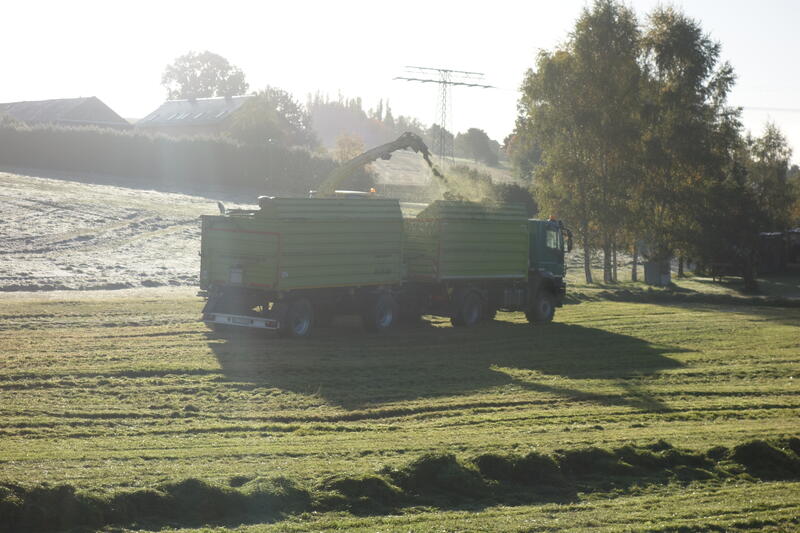 bilder/11_8_2005/lexion_6.jpg