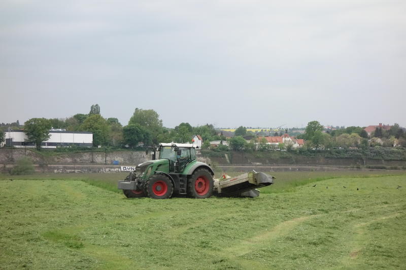bilder/18_5_2017/DSC08204.jpg