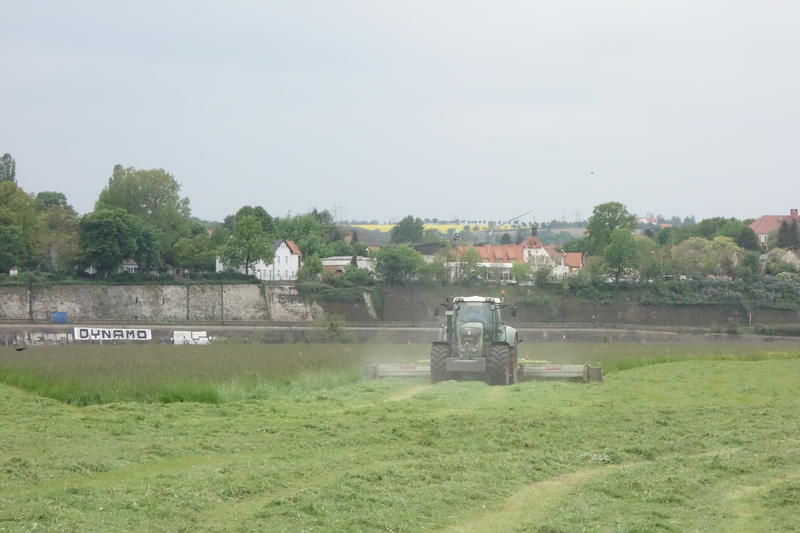 bilder/21_5_2002_3/fendt_716_+_zt_303_9.jpg